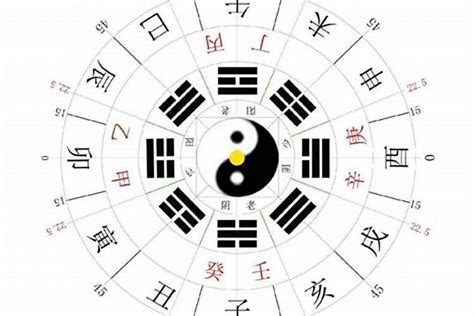 慧的五行|慧五行属什么